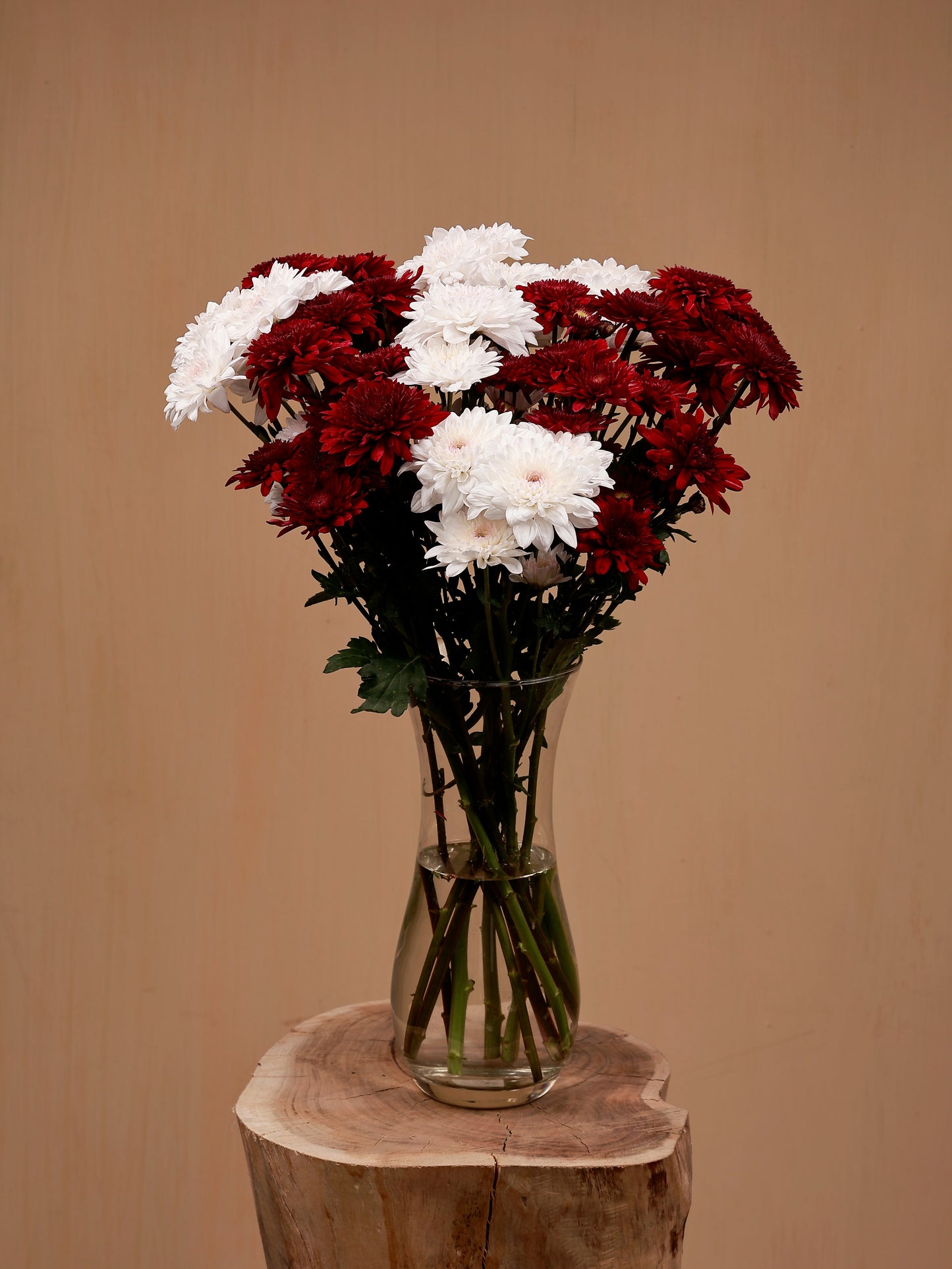 Red and white chrysanthemum bouquet in a glass-vase