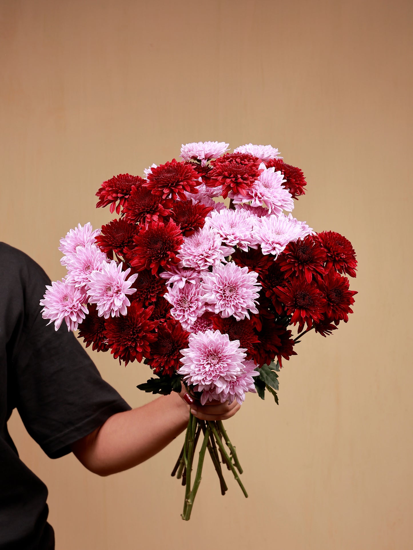 sweet bouquet of pink and red chrysanthemum in hand
