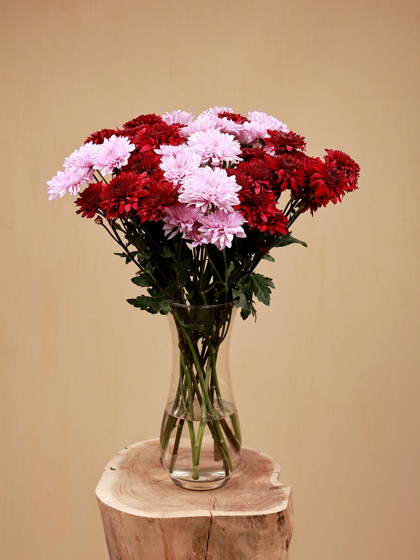 sweet bouquet of pink and red chrysanthemum