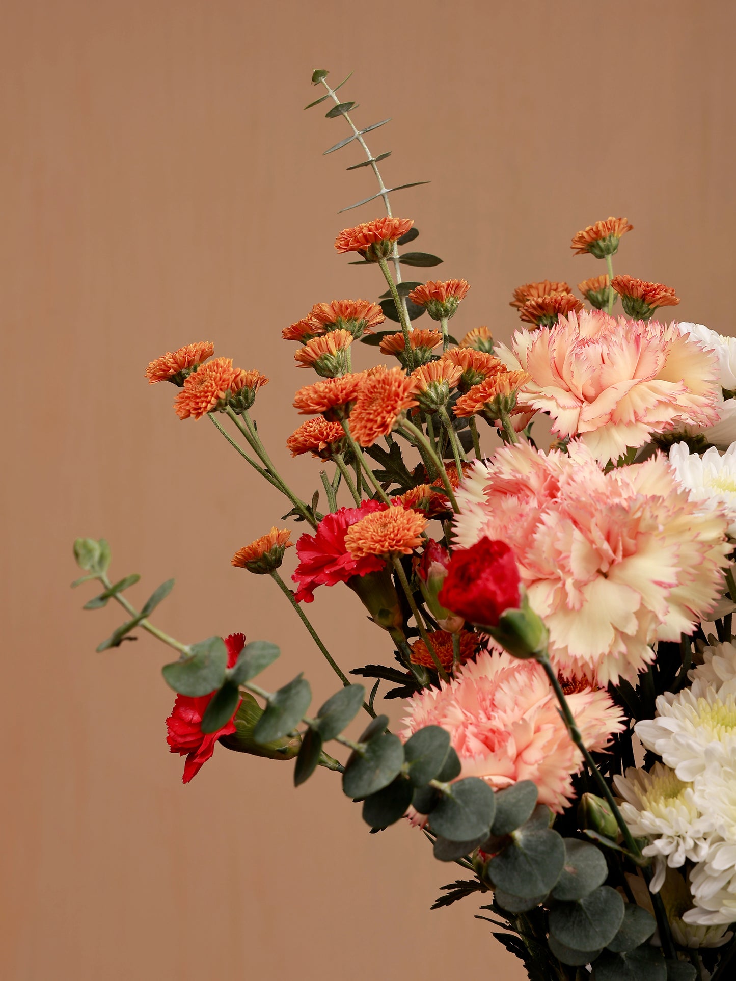 carnation and calimero flowers closeup