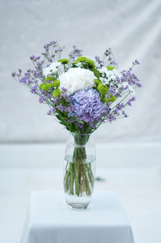 Hydrangea Flowers in Bangalore: Meaning, Colours and Care