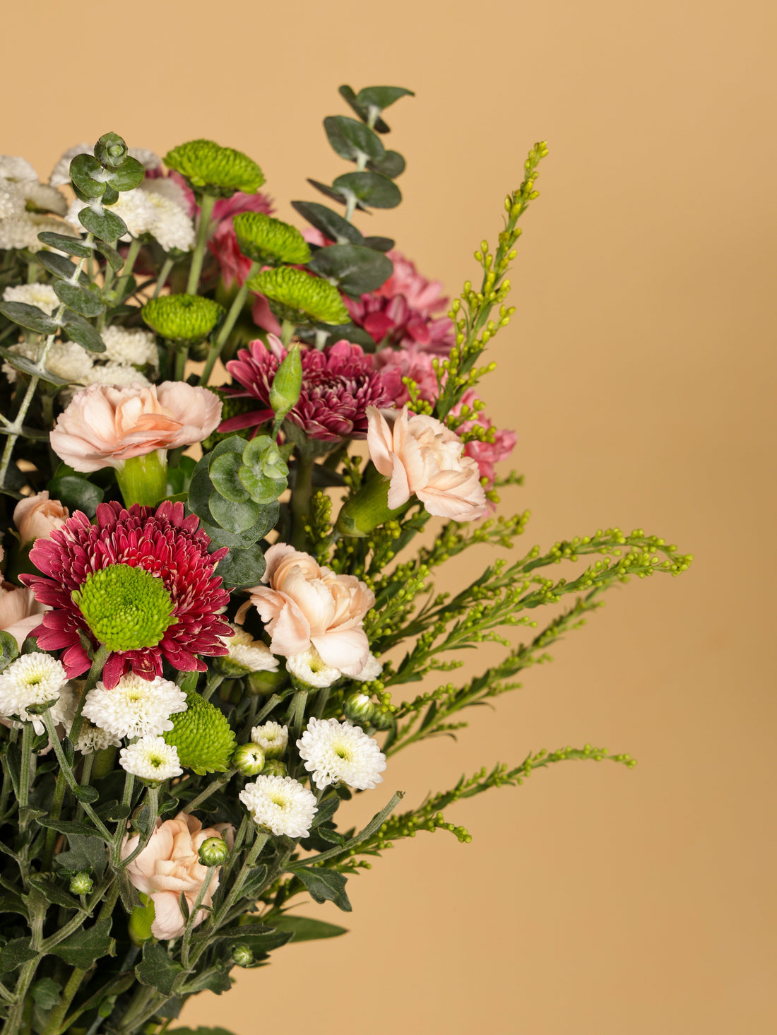 Gerbera Flowers in Bangalore: Meaning, Colours and Care