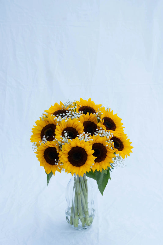 Sunflower Bouquets in Bangalore: Meaning, Care, and When to Gift Them