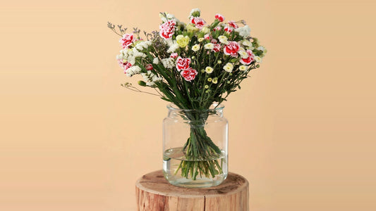 Best Flowers for a Housewarming Gift in Bangalore