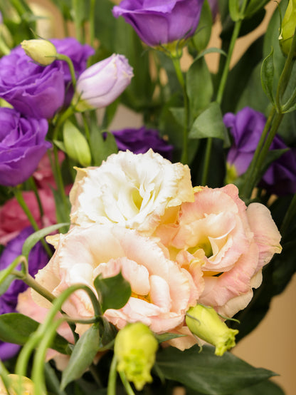Eustoma In Ear Eustoma – Hanabee