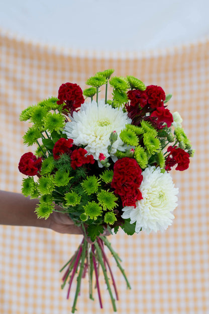 A Little Christmas Hug