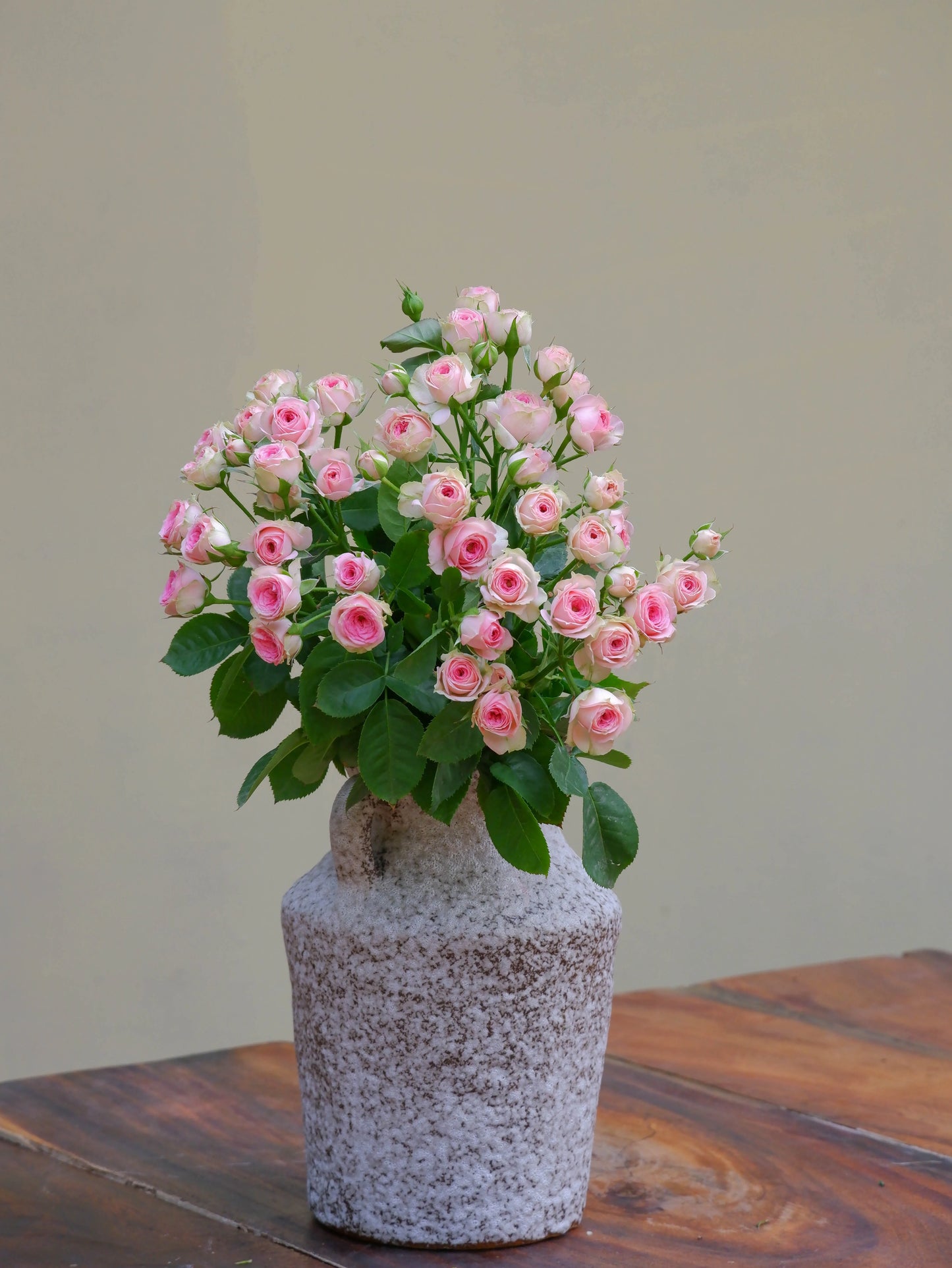 Baby Pink Spray Rose