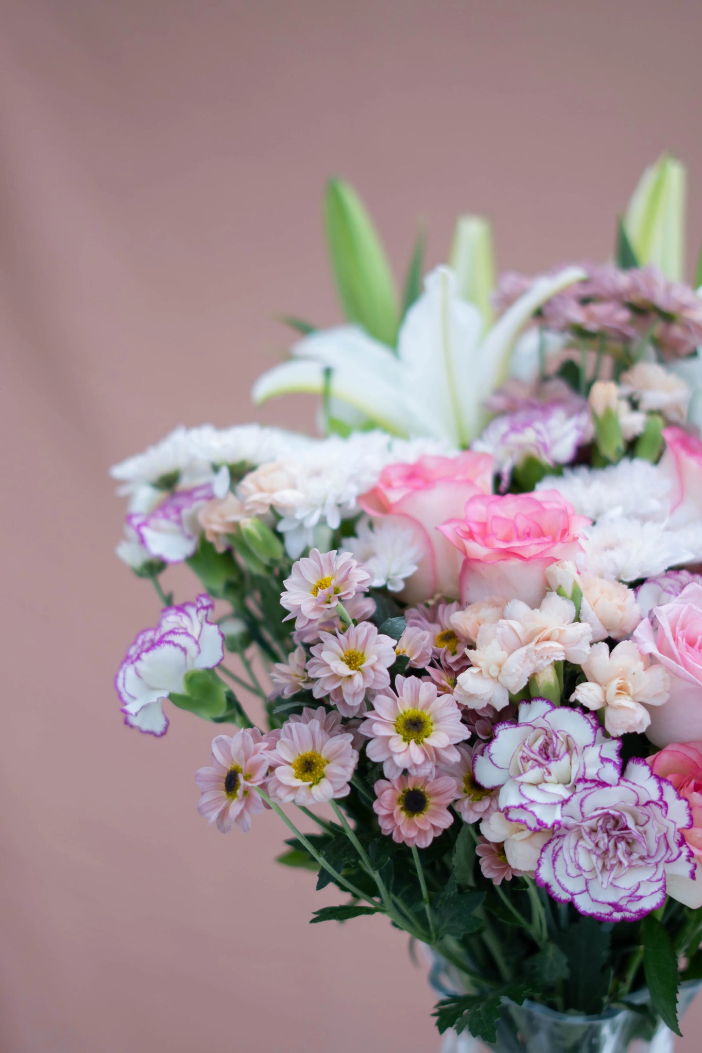 Bloom Therapy