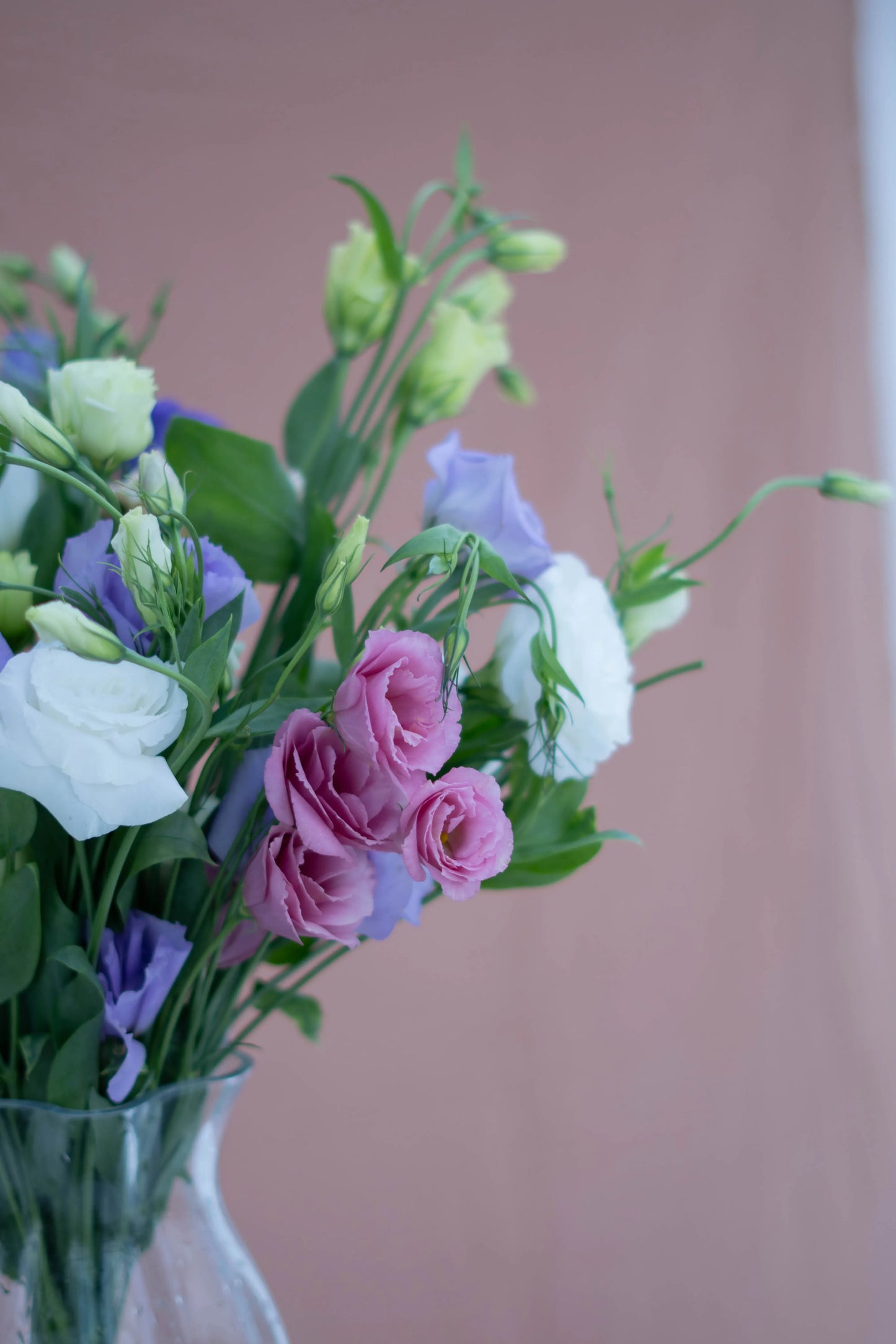 Eustoma Mix