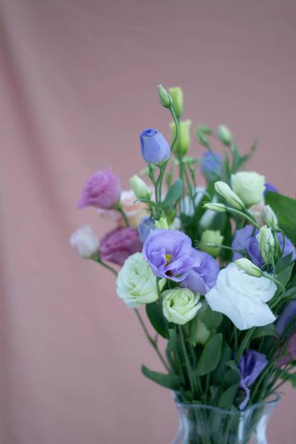 Eustoma Mix