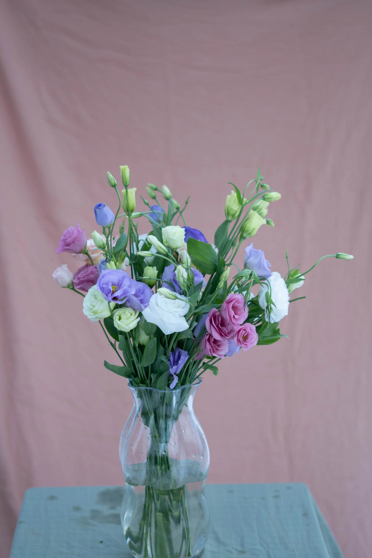 Eustoma Mix