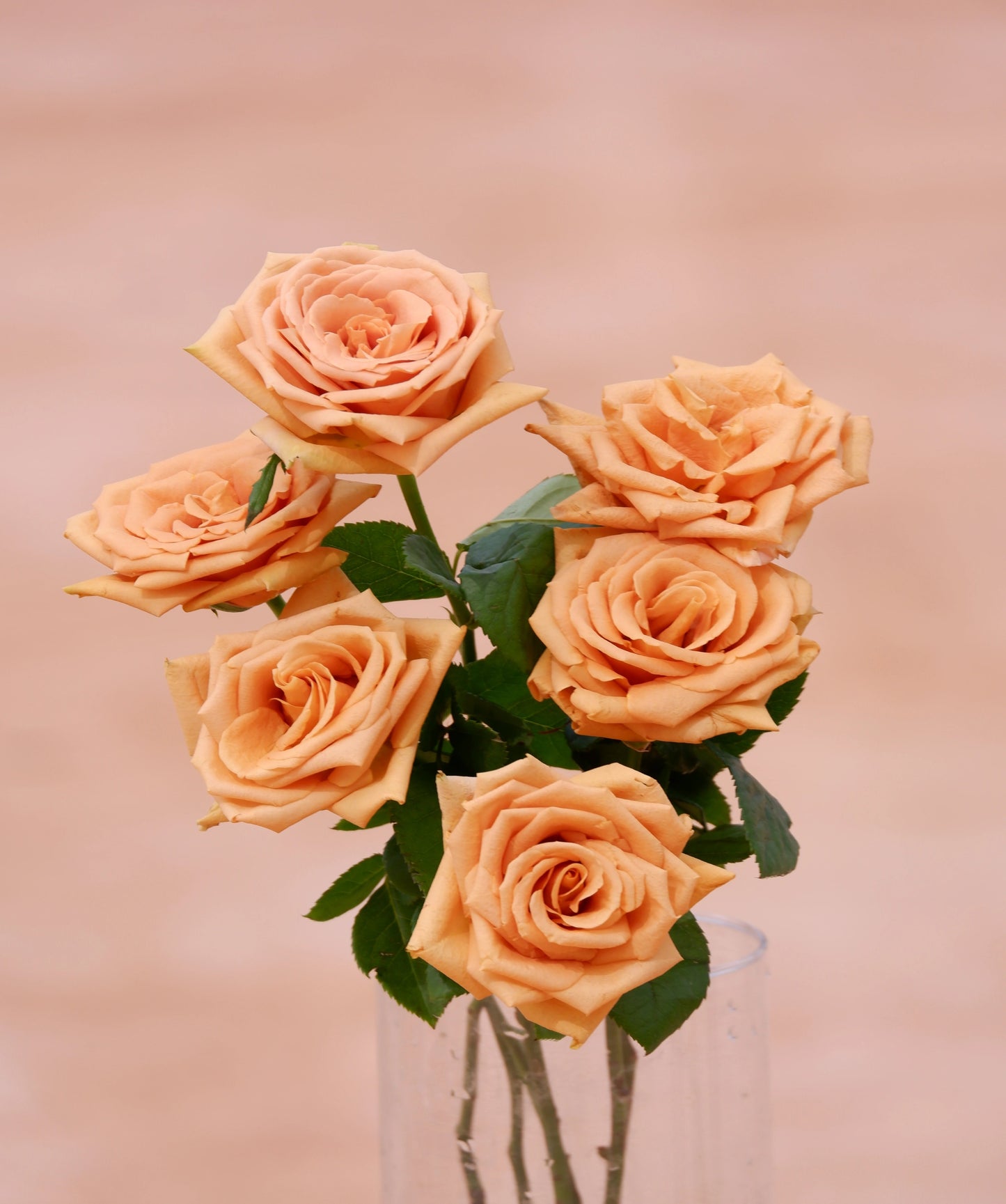 Golden roses