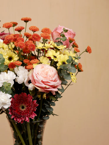closeup of orange calimero with rose and santini