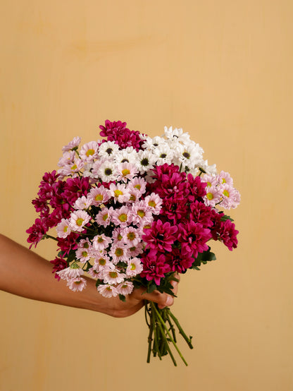 Hues of Hope
