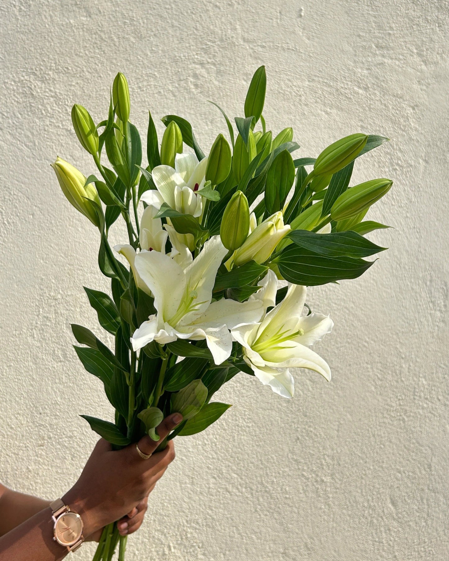 Oriental Lily