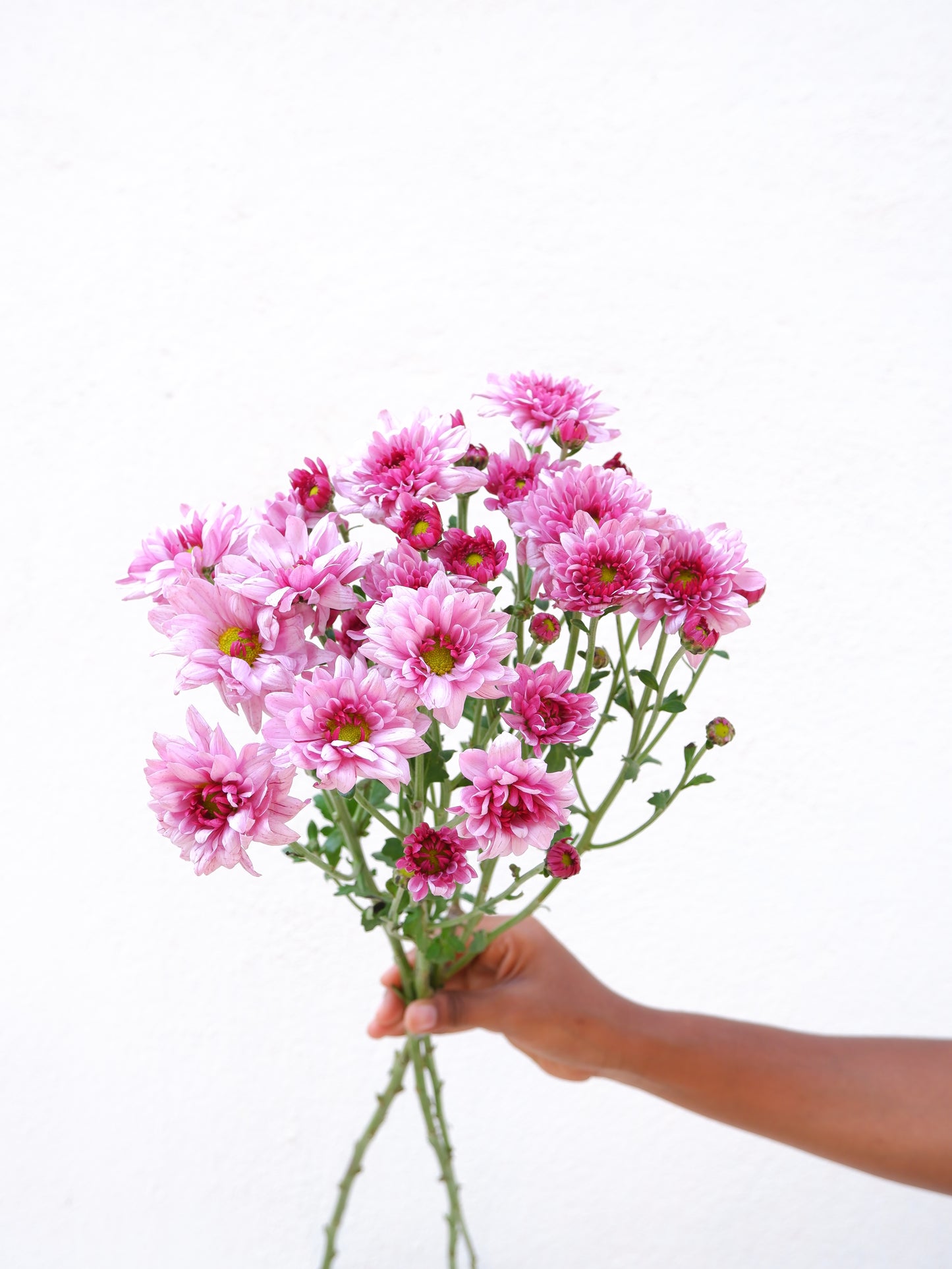 Santini Pink