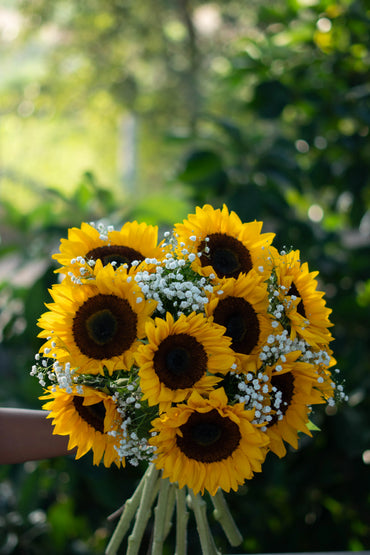 Sunflower Therapy