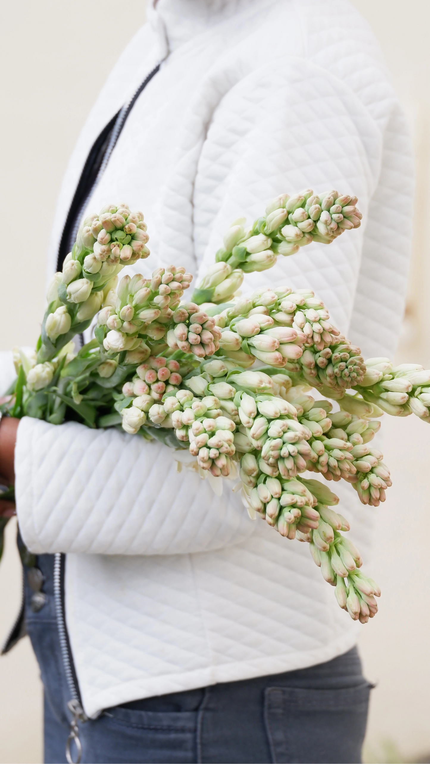 Niranthara Tuberose