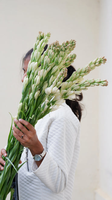 Niranthara Tuberose
